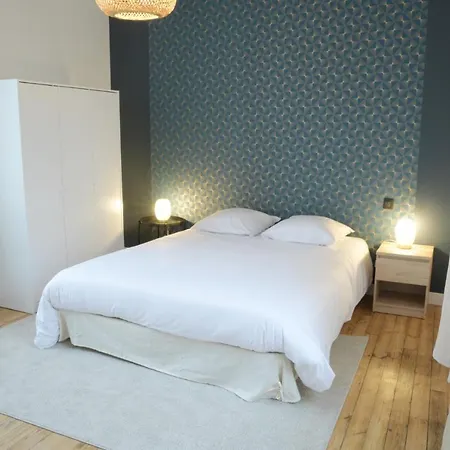 Apartment T2 De 55m2 Avec Toit Terrasse, Hyper Centre, Wifi, Draps, Savons Et Serviettes Fournis Cognac